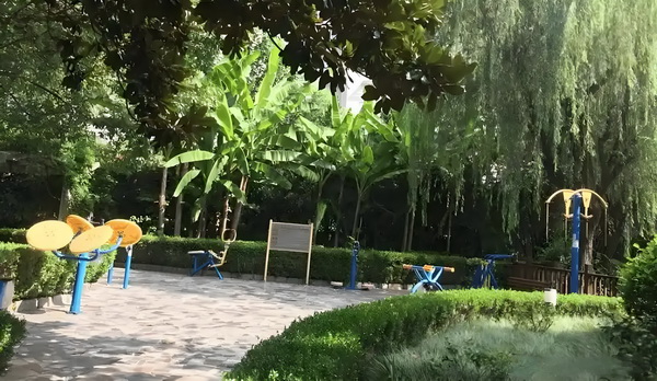 蓝颜也祸水