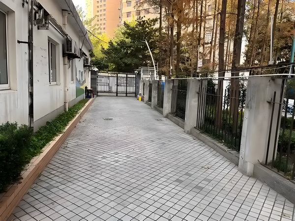 亡灵持政